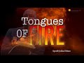 Tongues Of Fire - Apostle Joshua Selman