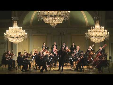 W.A.Mozart - Violin Concerto in A major KV 219, I. Allegro aperto