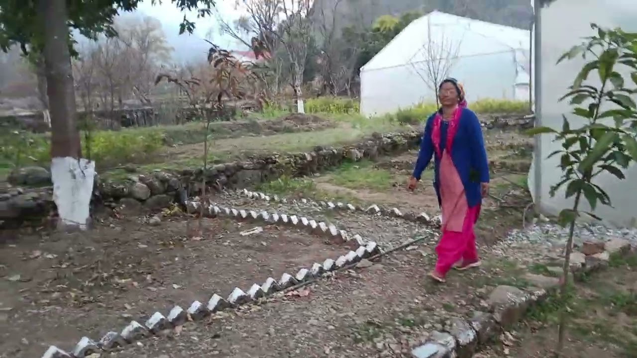 उद्यान विभाग चमोली द्वारा कोठियालसैन में तैयार सुंदर बाग बगीचे का नज़ारा