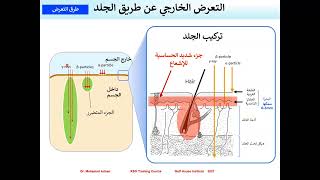 1 Various Forms of Exposure Dr. Mohamed Adnan September 2023