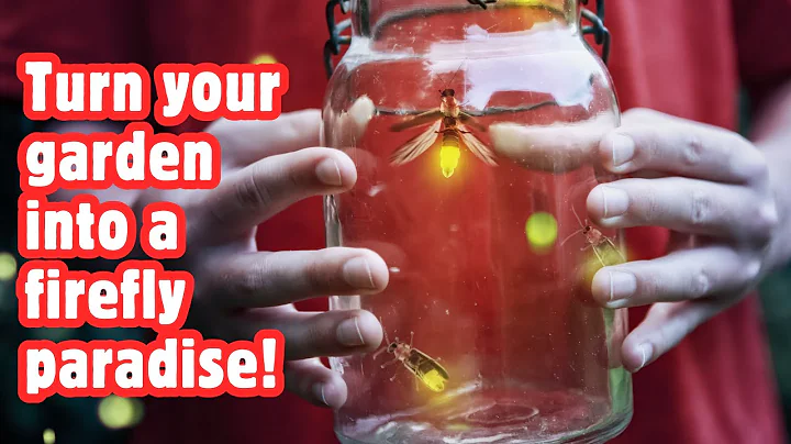 What Do Fireflies Eat? Discover the Diet of Nature's Glowing Lanterns