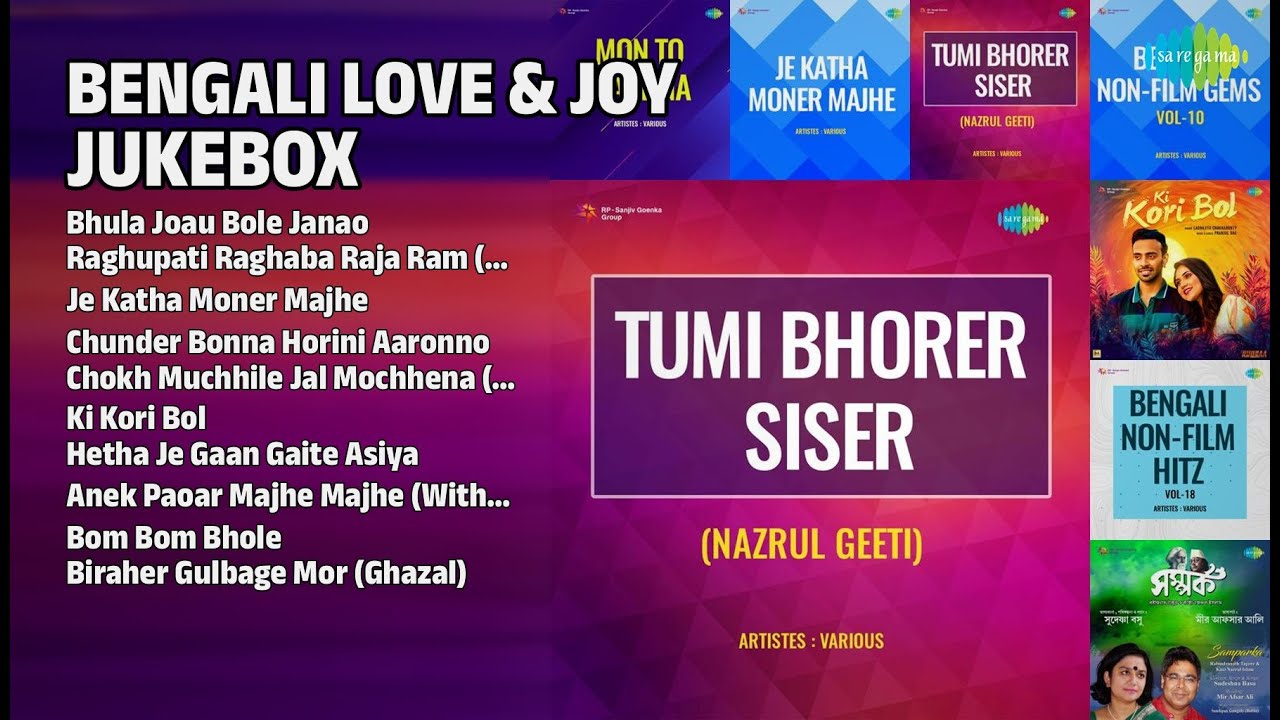 বাংলা প্রেমের গানের জুকবক্স | Miss Binapani Songs | Bhula Joau Bole Janao