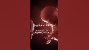 فضيلة القارئ الشيخ محمد صديق المنشاوي سورة القيامة #المنشاوي من المصحف المجود #قرآن