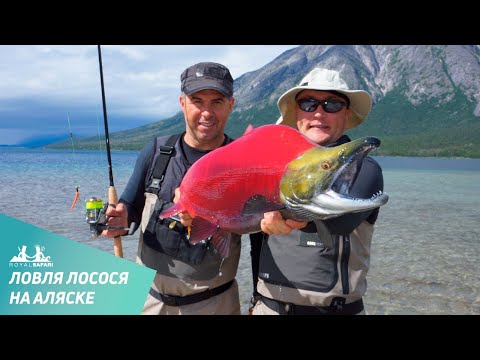 Ловля лосося (нерки), микижи и гольца на Аляске с Royal Safari