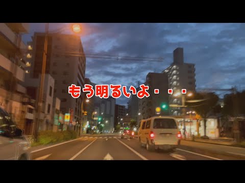 朝マズメに寝坊した日のサビキ釣り