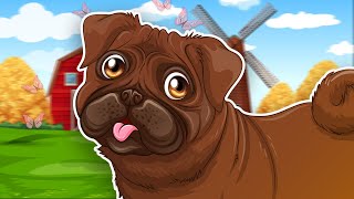 Köpek Bingo Şarkısı - Tele Domi İngilizce Çocuk Ve Bebek Şarkıları - Çizgi Film Izle