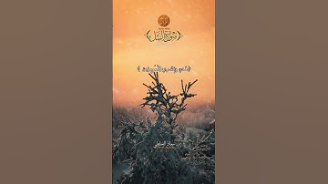 Muadh El Kholti -Extrait  Surat An Naml - ما تيسر من سورة النمل | القارئ معاذ الخلطي | ورش عن نافع