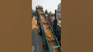 Fully automatic corn thresher corn thresher harvester workout farmmachinery 😨