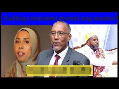 Xadhiga Xildh Maxamed Maweel Waa Sharci Daro Cadaalad Ayay Somaliland Ubahanthay,Faadumo MWeel