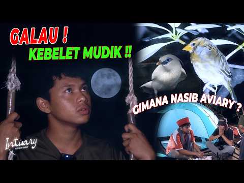 MALAH PADA GALAU ?! Bukannya nyari burung..| INTISARY #8