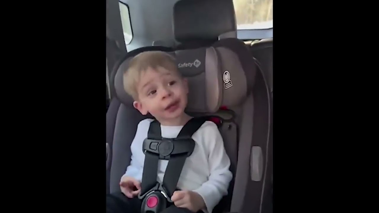 Bullshit! Bear Attack: Evo Skits 