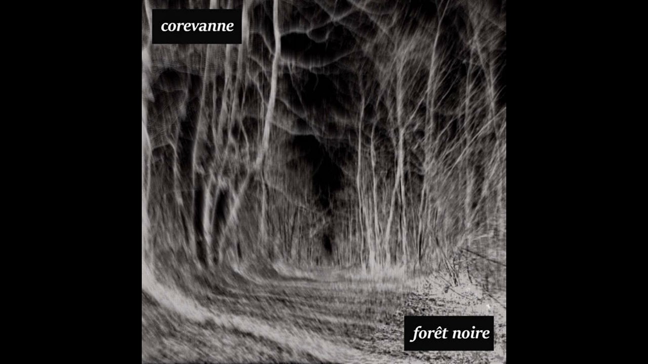 forêt noire FULL ALBUM || blackgaze / atmospheric black metal (instrumental)