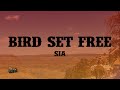 Sia Bird Set Free Lyrics