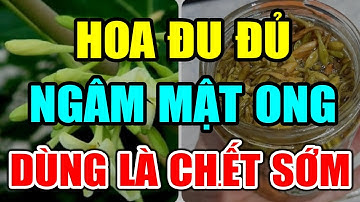 Bác sĩ Cảnh Báo: HOA ĐU ĐỦ NGÂM MẬT ONG CỰC ĐỘC, Dùng Theo Cách NGU XUẨN Này RƯỚC U.NG THƯ Vào Người
