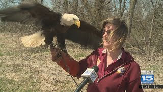 Earth Day Fort Wayne