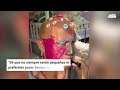 "The Rock" protagoniza tierno momento junto a sus hijas y queda irreconocible