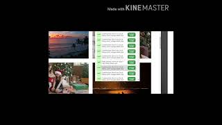 Video Downloader Professional