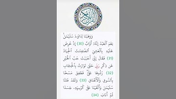 سورة ص/#القرآن_الكريم #subscribe #اكسبلور #تيك_توك #dubai #لايك #العراق #quran