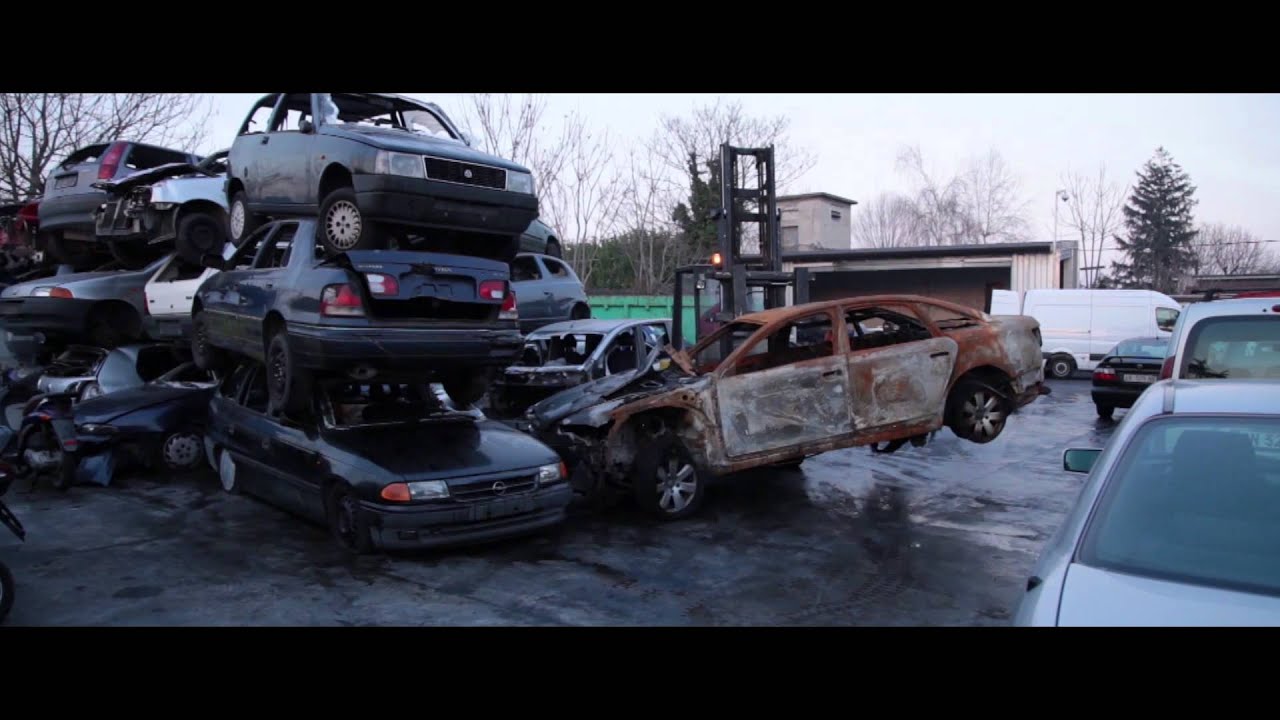 stay dead evolution - launch trailer