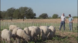 Dr. Noland and Rancher Chad Raines, Leaders in Sustainable Agriculture on Americas Heartland