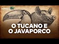 O Tucano e o JavaPorco – Boletim Coppolla n.067 (11/04/2022)