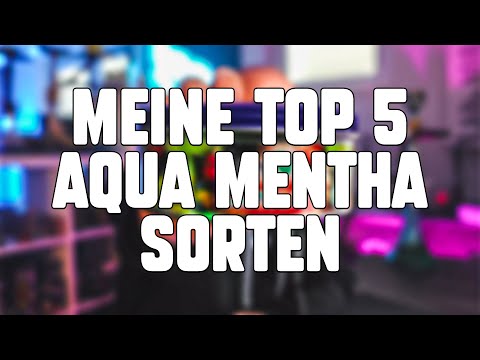 TOP 5 AQUA MENTHA SORTEN