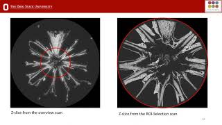 Introduction to the HeliScan microCT and Region of Interest Scanning