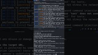 Fuzzing POST request body parameters for cmd injection