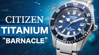 The Seiko Killer? Promaster 'Barnacle' Mechanical 200m