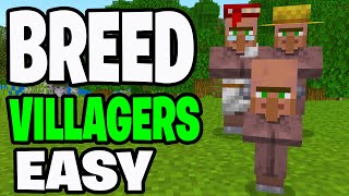 How To Breed Villagers In Minecraft 1.21! - Java & Bedrock