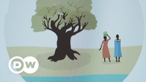 Plant a tree with one click | DW English