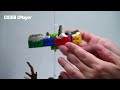 How is Lego helping to regrow coral reefs? | Newsround