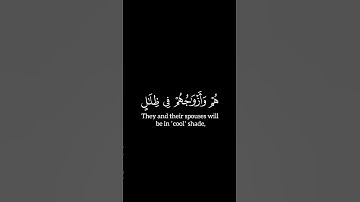 هُمْ وَأَزْوَاجُهُمْ فِى ظِلَـٰلٍ | كروما قرآن كريم | محمد صديق المنشاوي شاشه سوداء