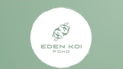 Building my DREAM koi pond - Part 5 - Laying the concrete blocks/building the walls