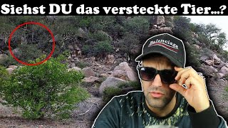 Findest DU das VERSTECKTE TIER in DIESEM Bild?? (UNMÖGLICH) screenshot 5