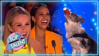 HILARIOUS Animal Auditions On Britain's Got Talent 2022 | Top Talent