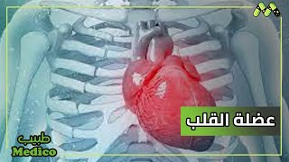 ضعف عضلة القلب مع النهجان علاج أم قسطرة طبيب يوضح