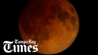 Moon goes red this weekend: Eclipse for Americas
