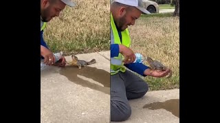 Squirrel Begging  For Water , Man Saved His Life By Giving Him Water To Drink