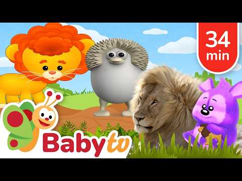 Löwenabenteuer für Kinder 🦁👑 | Lerne den König der Tiere kennen @BabyTVDE