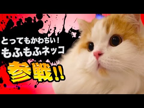 ヤバ過ぎネッコ全員参戦！！part111