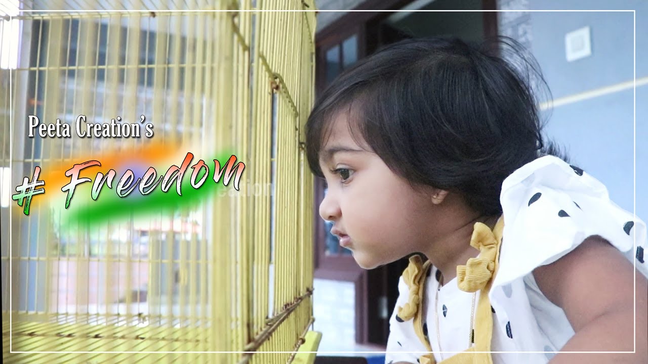Freedom inspirational patriotic short film| Peeta Creation | Independence Day special