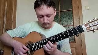 Joost Klein - Europapa (guitar arrangement)