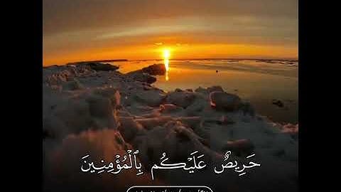 لقد جاءكم رسول من أنفسكم - تلاوة جميلة للقارئ خالد الجليل