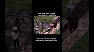 When it comes to horse training, try to stay creative and open to different ways of setting things