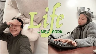 A Realistic Week in My Life | work-life balance & first time foster cat parent
