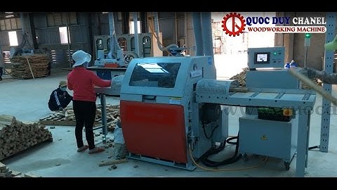 MÁY CẮT KHUYẾT TẬT CFS-100 I MÁY CẮT KHUYẾT TẬT GỖ I MÁY CẮT LỰA CHỌN PHÔI