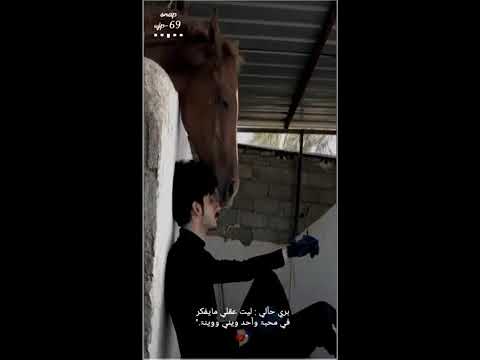 بري حالي ليت عقلي مايفكر في محبه واحد ويني ووينه