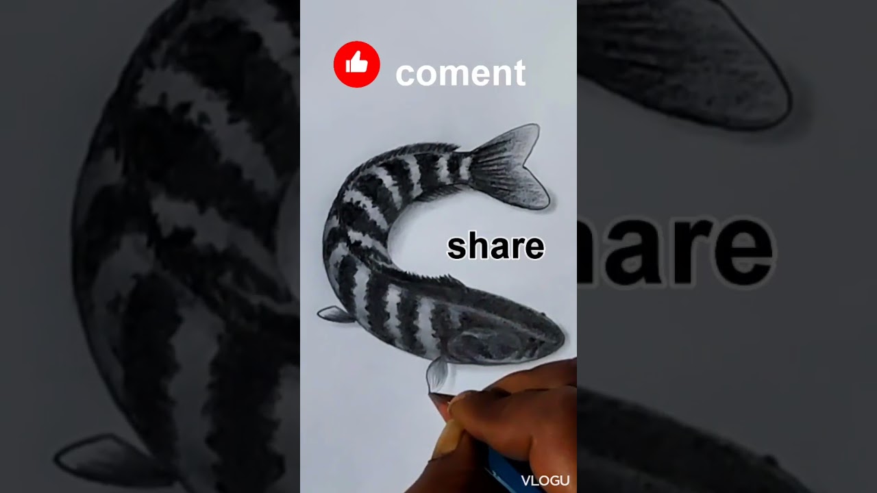 how to draw a fish # easy fish drawing 