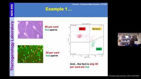 Flow Cytometry in Semen Analysis: Commonly used fluoroprobes